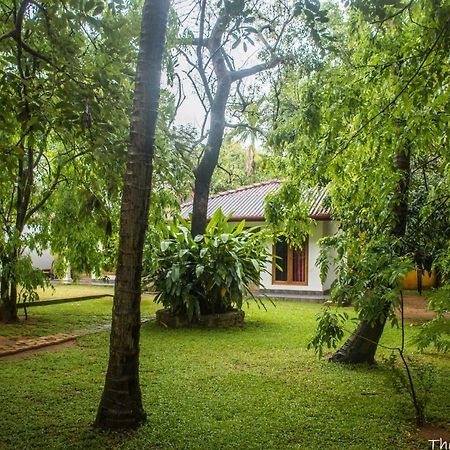 The Calm Cabana Dambulla Extérieur photo