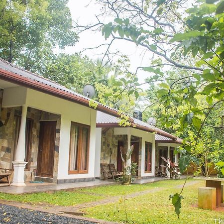 The Calm Cabana Dambulla Extérieur photo