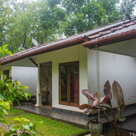 The Calm Cabana Dambulla Extérieur photo