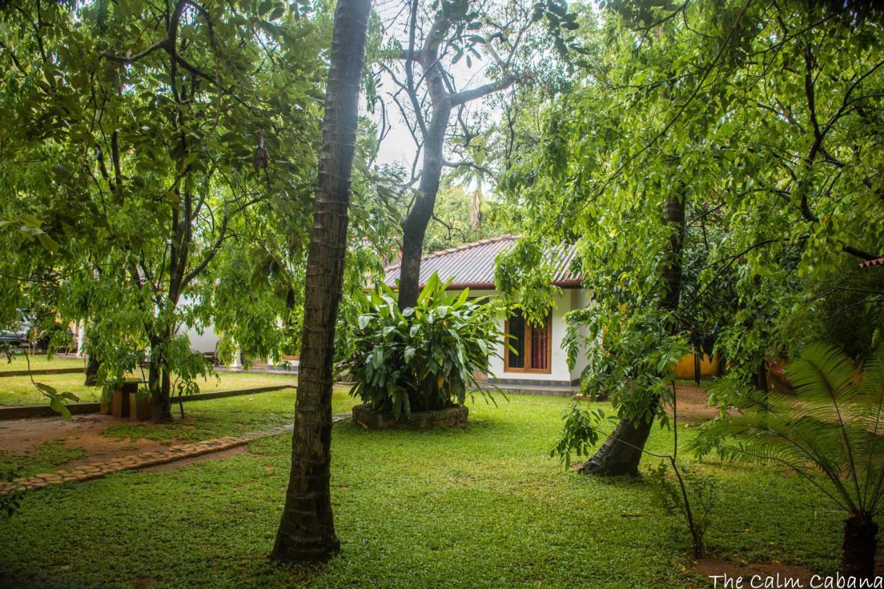 The Calm Cabana Dambulla Extérieur photo