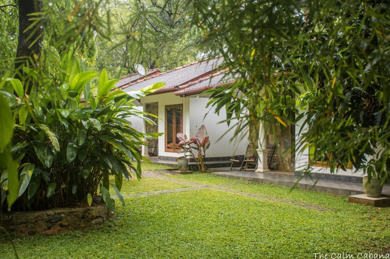The Calm Cabana Dambulla Extérieur photo