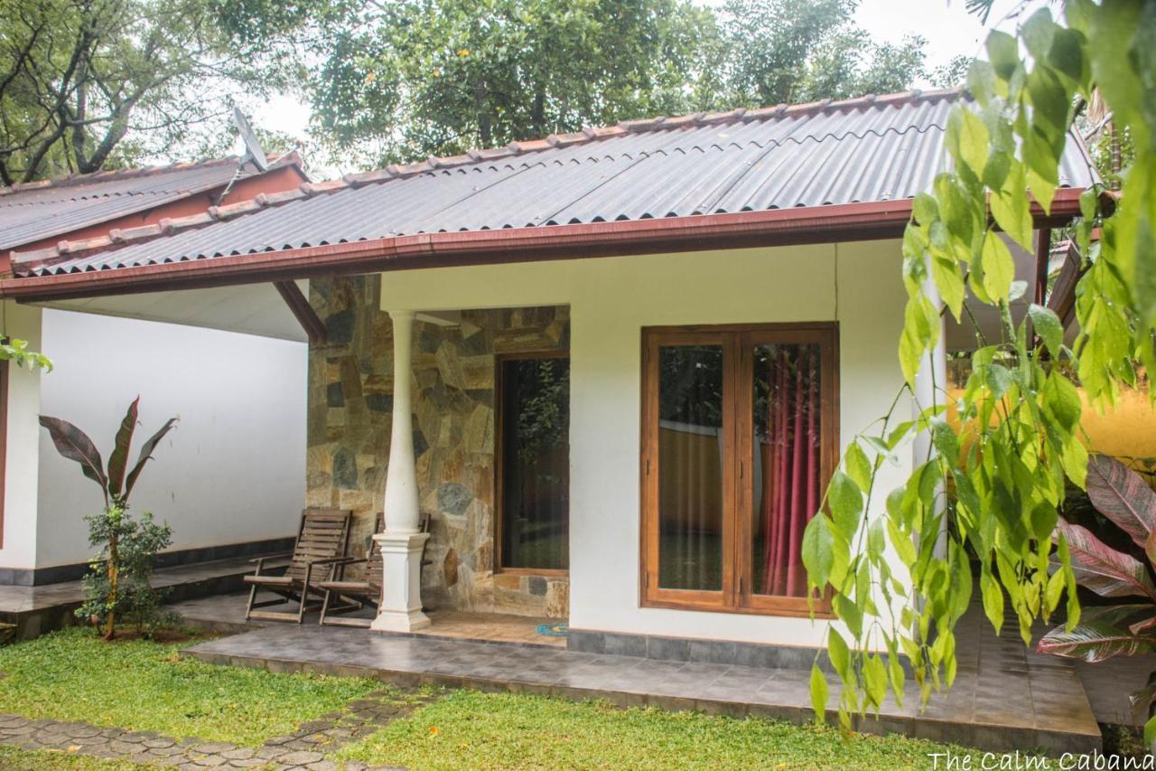 The Calm Cabana Dambulla Extérieur photo