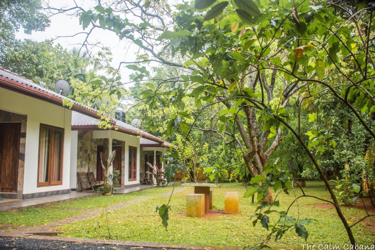 The Calm Cabana Dambulla Extérieur photo