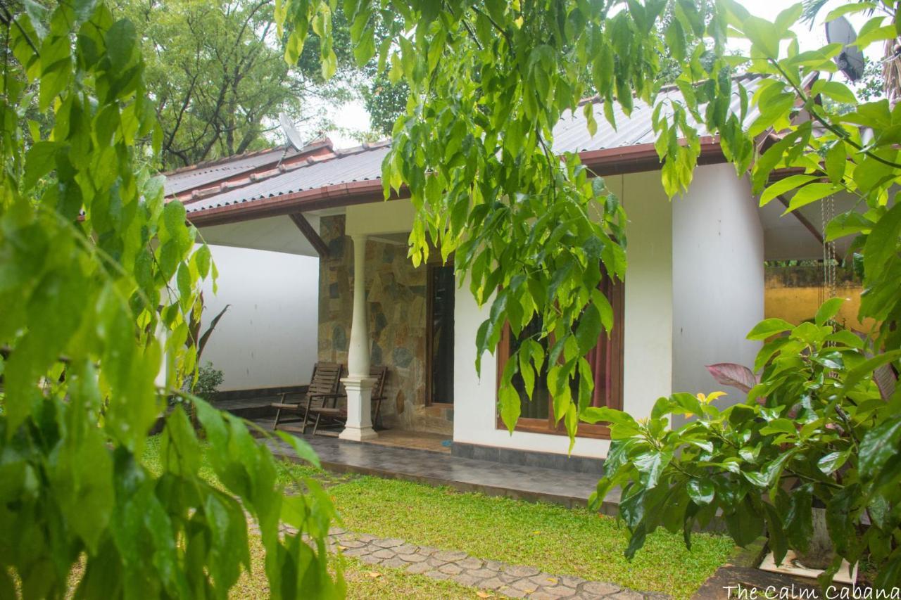 The Calm Cabana Dambulla Extérieur photo