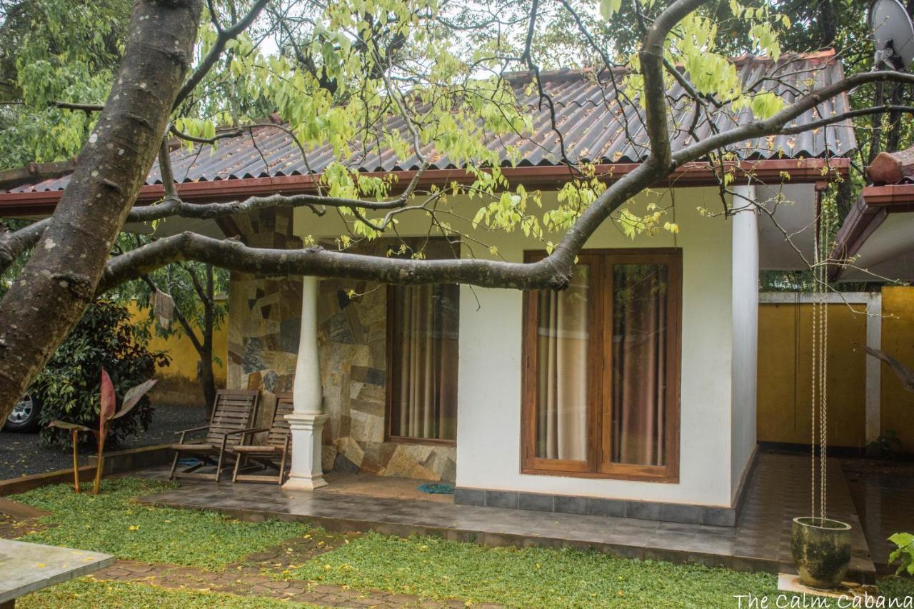 The Calm Cabana Dambulla Extérieur photo