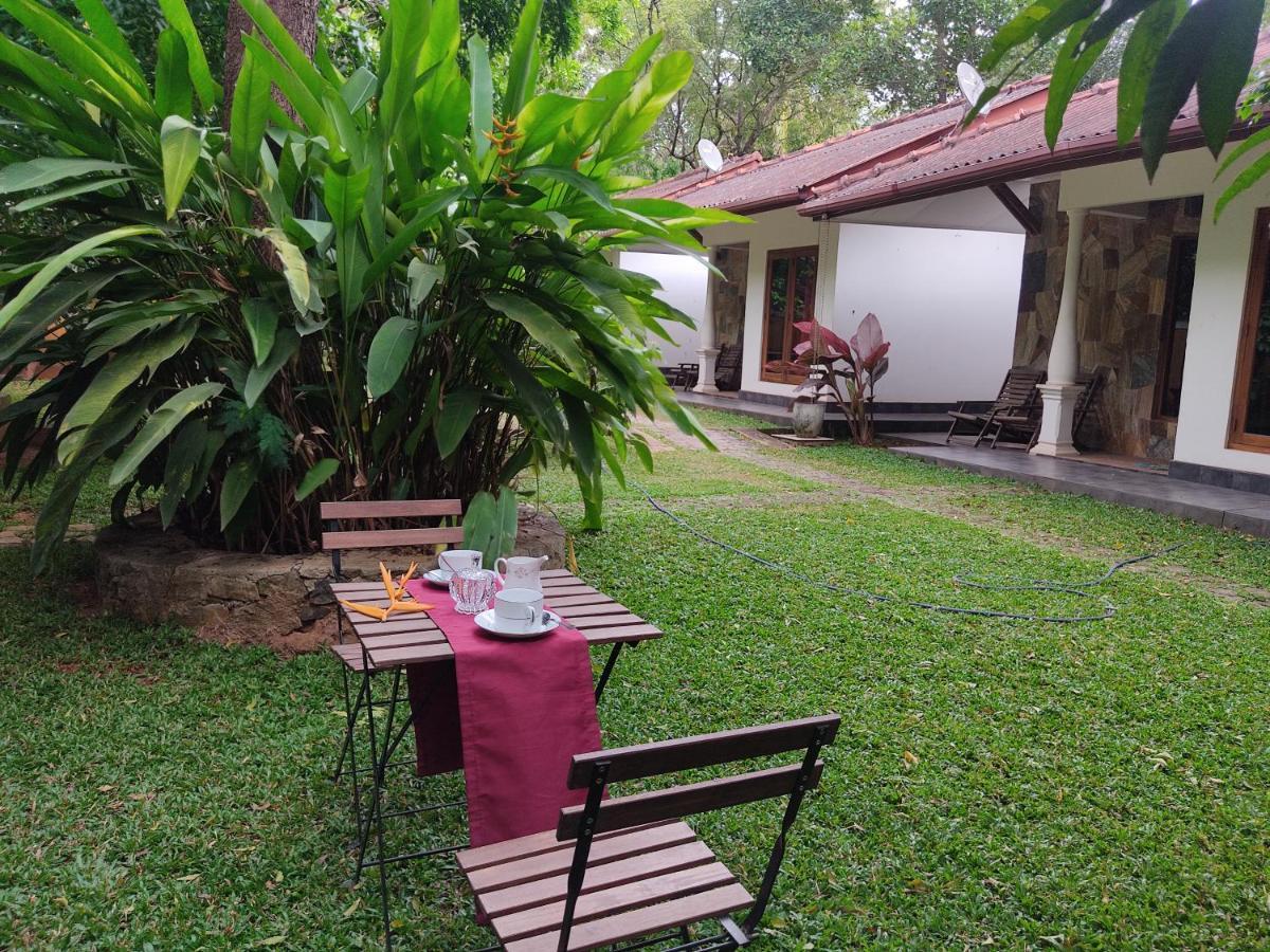 The Calm Cabana Dambulla Extérieur photo