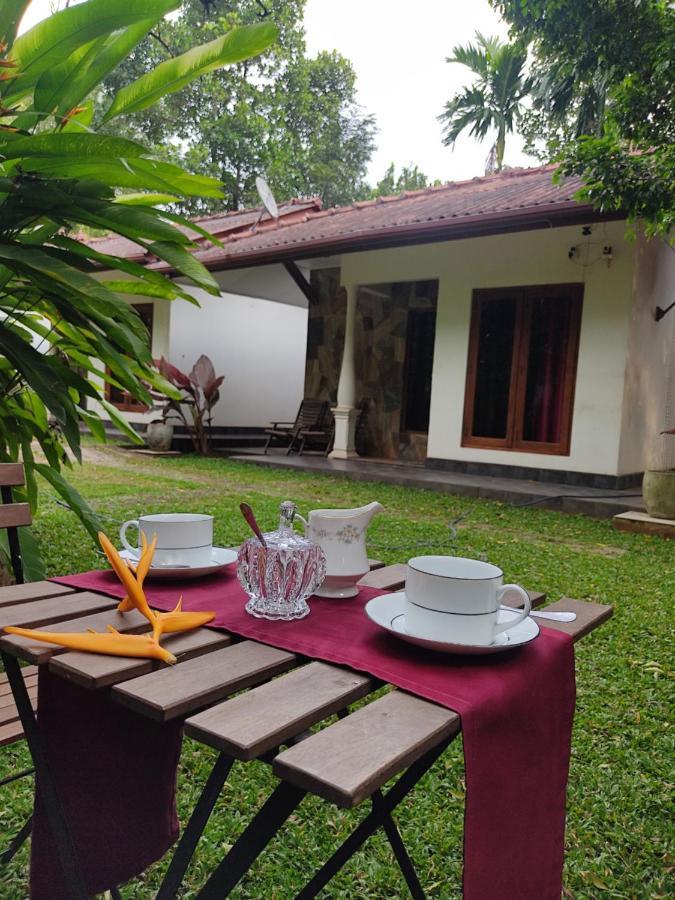 The Calm Cabana Dambulla Extérieur photo