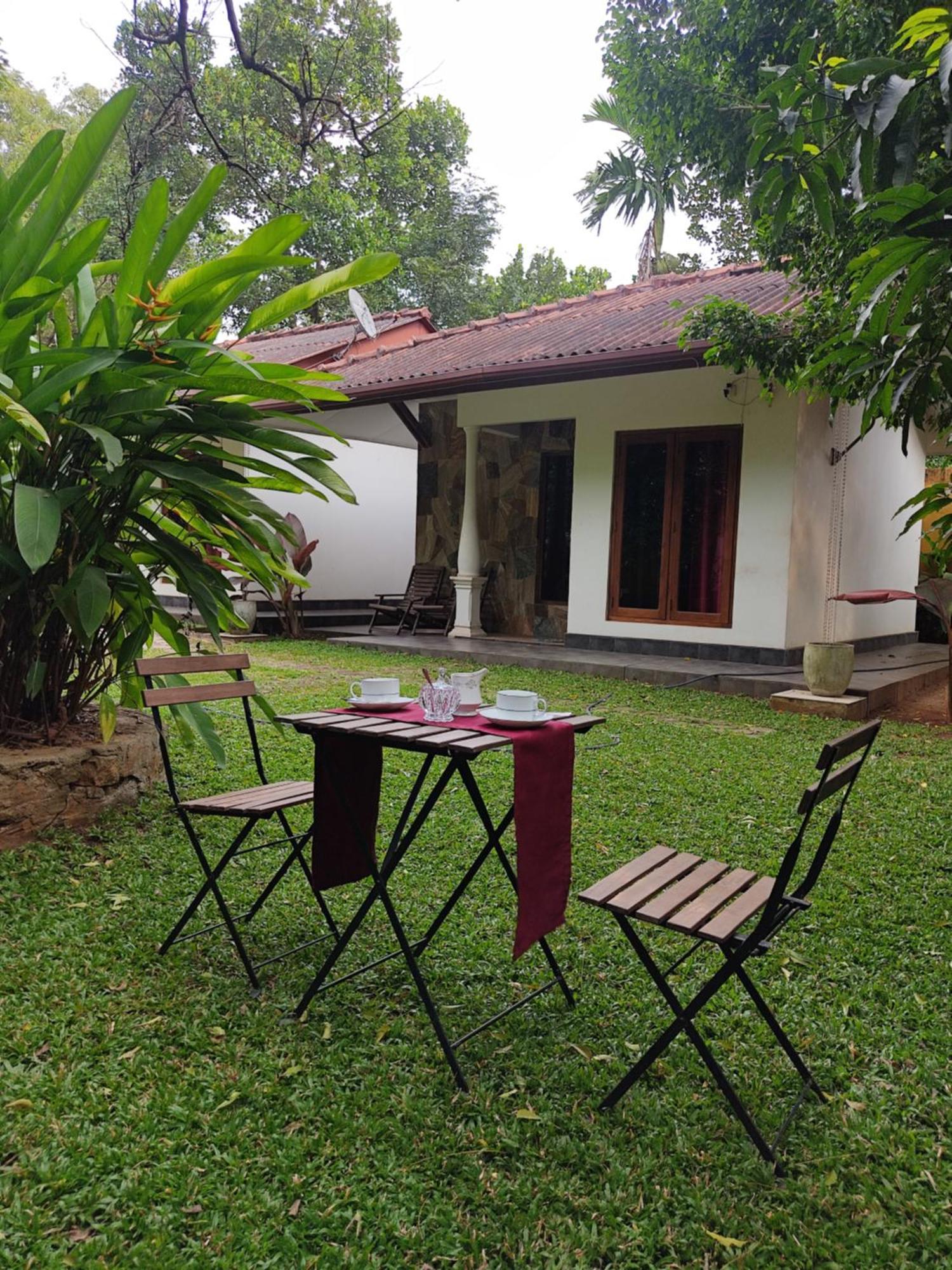The Calm Cabana Dambulla Chambre photo